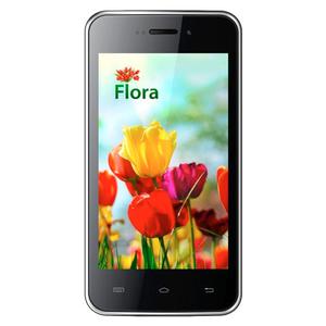 Flora