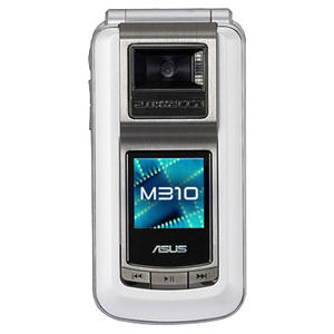 M310