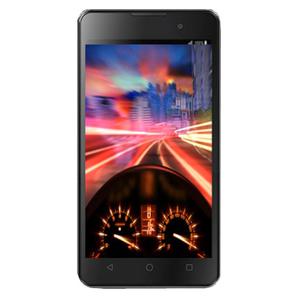 Q334 Canvas Magnus