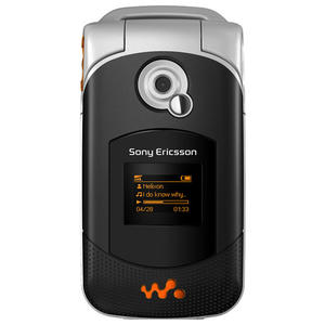 W300i