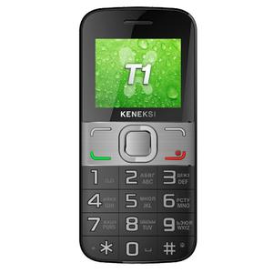 T1