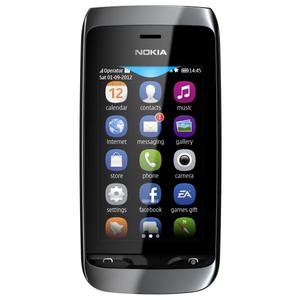 Asha 309