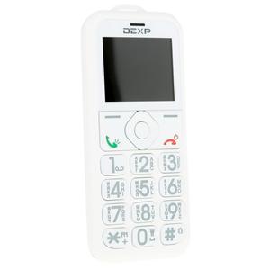 Larus S1