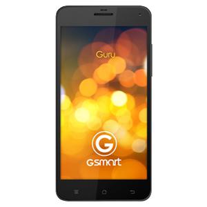 Guru