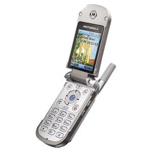 V810