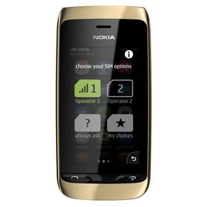 Asha 310